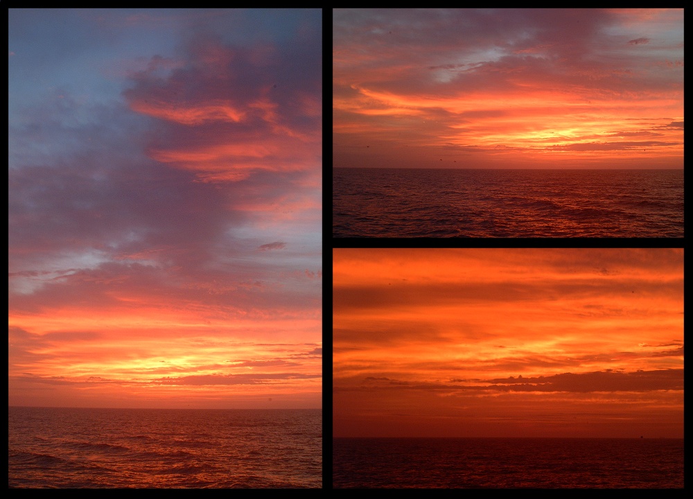 (24) dawn montage.jpg   (1000x720)   214 Kb                                    Click to display next picture